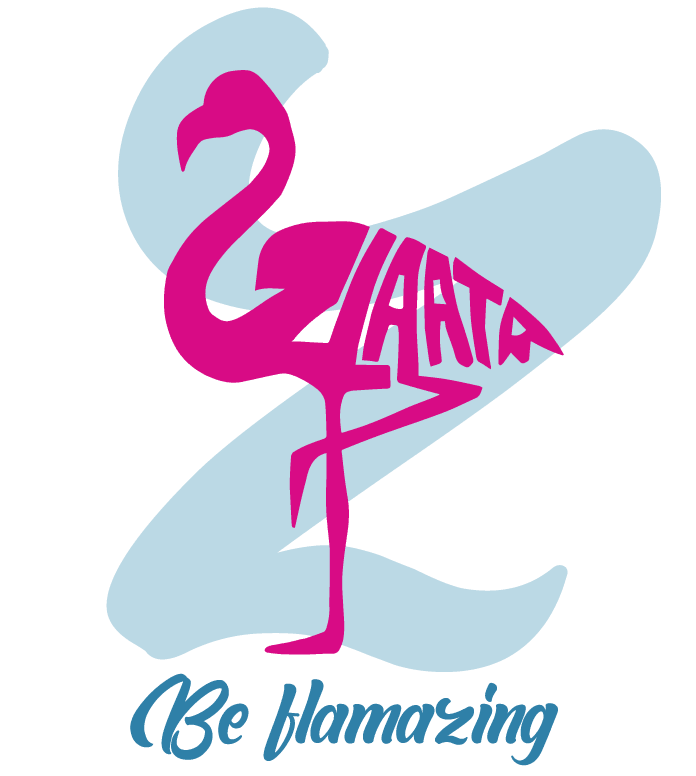 Flamazing Tropic Zlaata- Flamingo Printed Blue Oversized T- Shirt